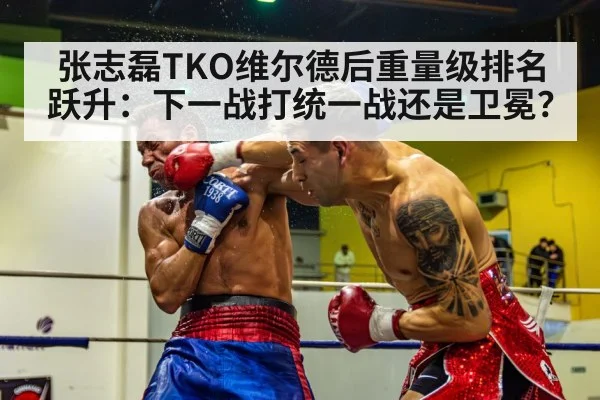张志磊TKO维尔德后重量级排名跃升：下一战打统一战还是卫冕？