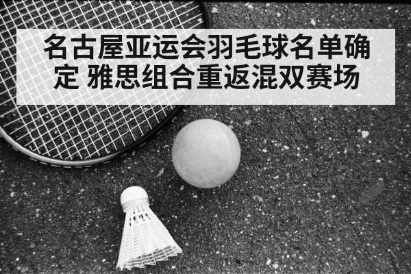 名古屋亚运会羽毛球名单确定 雅思组合重返混双赛场